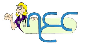 Nursing Education Consultants, Inc.