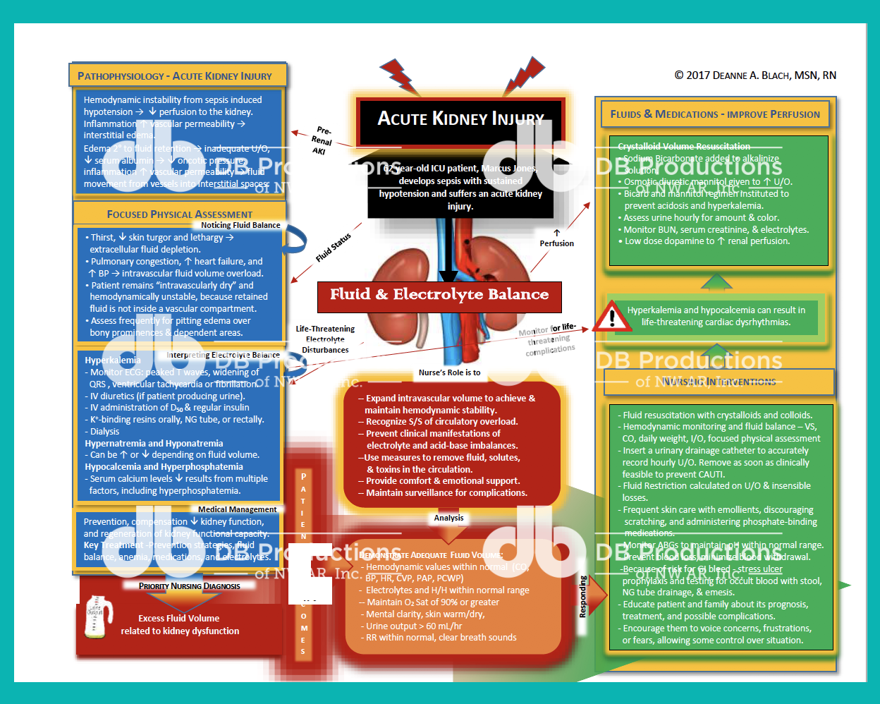 Acute Kidney Failure Concept Map Deanne Blach Db Productions