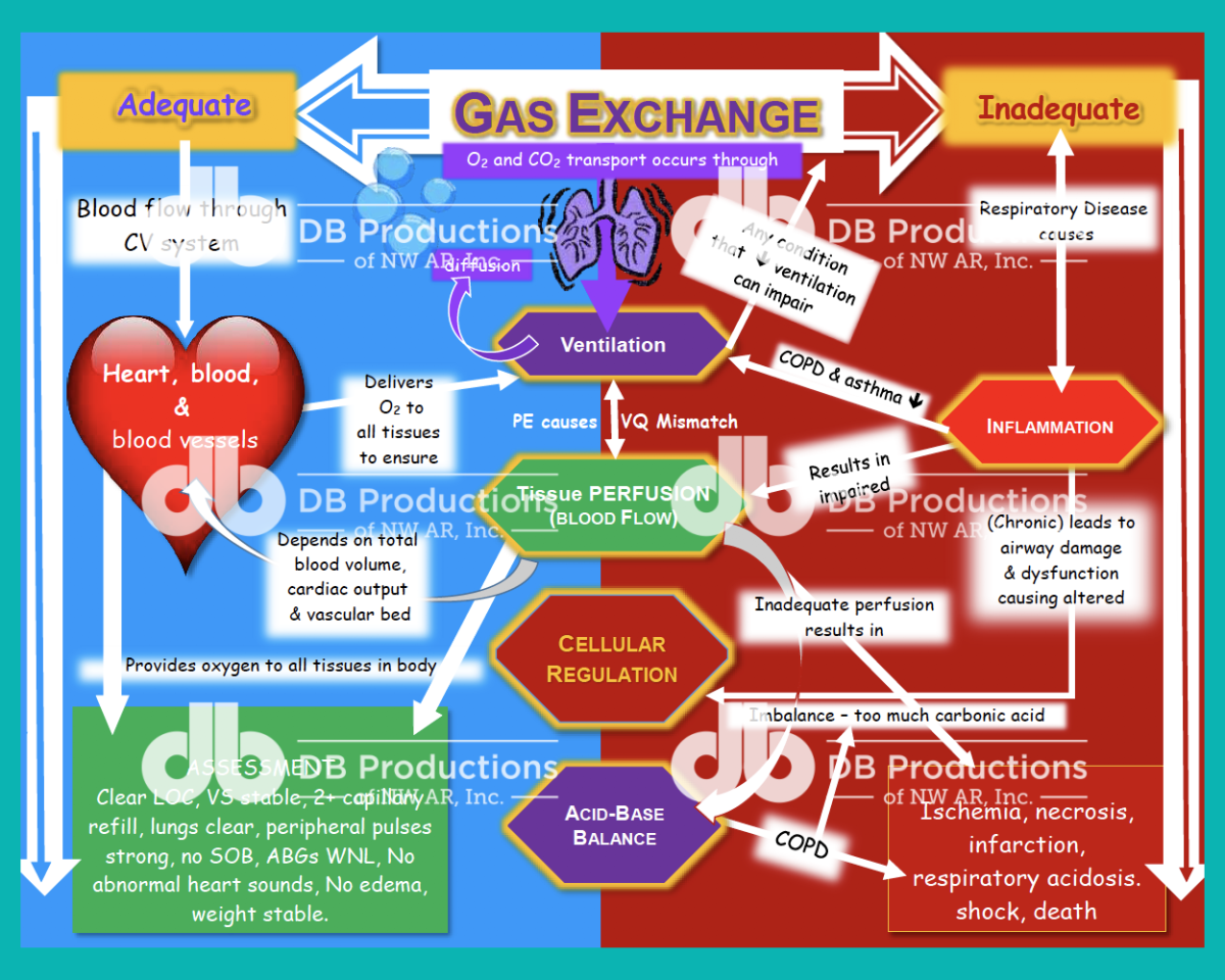 Hypovolemic Shock Concept Map Deanne Blach DB Productions hypovolemic-shock-concept-map-deanne-blach-db-productions